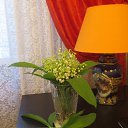 ���� �����, �����������, 67 ��� - ��������� 30 ��� 2020 � ������ ���� ����������