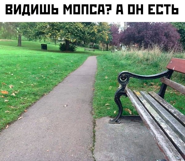    :D - 9  2020  19:13