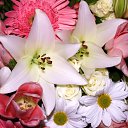 ���� ___����, �������� - ��������� 18 ���� 2020 � ������ �������