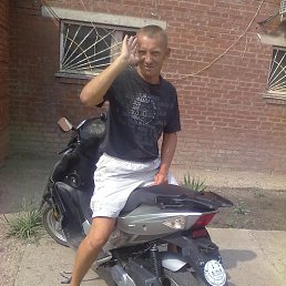 ���� �������, 54 ����, ���������