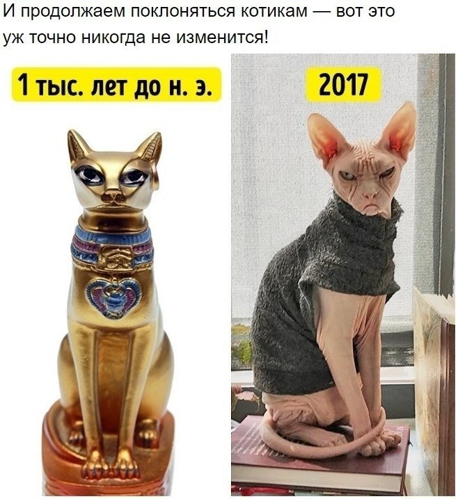        - 10
