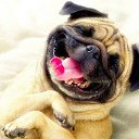 ���� �����, ��������, 61 ��� - ��������� 1 ���� 2020 � ������ ���� ����������