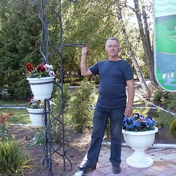 �������, �����, 77 ���