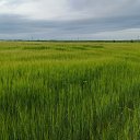 ���� �����, ������ - ��������� 23 ���� 2020 � ������ ���� ����������