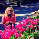 ���� �������, �����������, 53 ���� - ��������� 20 ��� 2020 � ������ ���� ����������