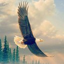 ���� ����, ������������, 41 ��� - ��������� 6 ������� 2020 � ������ ������ ��������