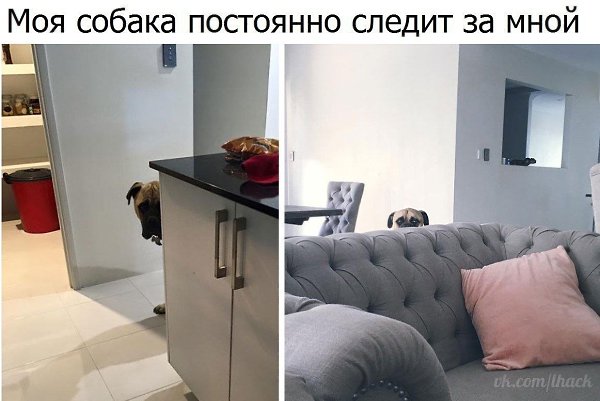 ������� - 23 ����� 2020 � 19:09
