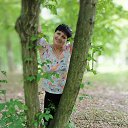 ���� �������, ��������� - ��������� 29 ���� 2020 � ������ ���� ����������