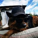 ���� ����, ������� ��������, 54 ���� - ��������� 18 ������ 2020 � ������ ���� ����������