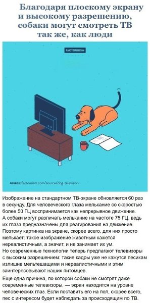 oopa eecx ao o ae pe