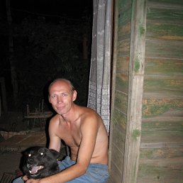 �������, ���������, 54 ����