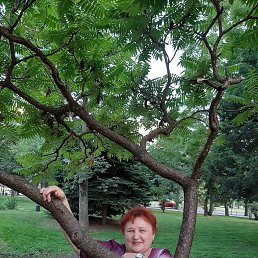 ���������, ���������