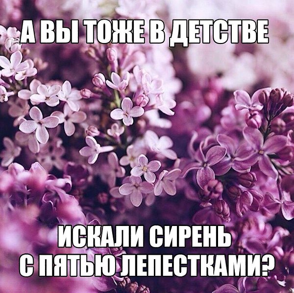 ������ ������� - 27 ��� 2020 � 18:40