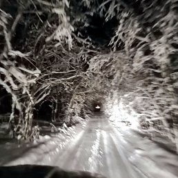 ���� �������, �����, 53 ���� - ��������� 18 ���� 2020