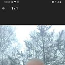 ���� �����, �����������, 43 ���� - ��������� 8 ������� 2020 � ������ ���� ����������