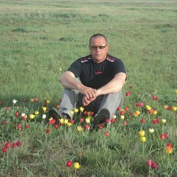 ��������, �������, 62 ����