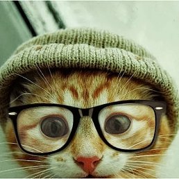 ����, ������, 55 ���