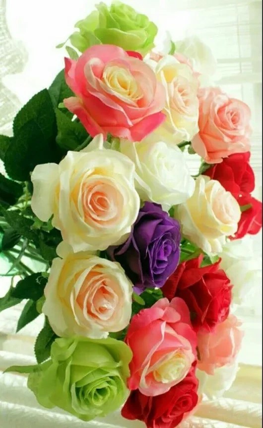   ,    . - 11  2020  16:34 - 5