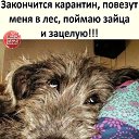 ���� �������, ����������� - ��������� 6 ��� 2020 � ������ ���� ����������