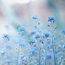 ���� Xxx, ������ - ��������� 30 ����� 2020 � ������ ���� ����������