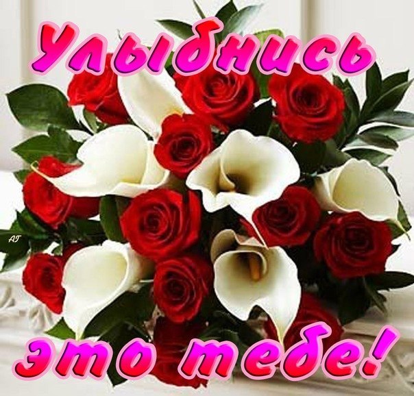   ,    . - 14  2020  12:58 - 2