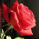 ���� ������, ���� - ��������� 23 ������� 2020 � ������ ������ ��������