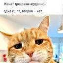 ���� ������, �����, 53 ���� - ��������� 15 ������� 2020 � ������ ���� ����������