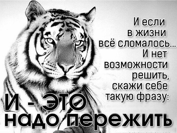  - 29  2020  09:03