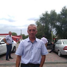 ���� ��������, ����������, 49 ��� - ��������� 31 ����� 2020