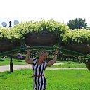 ���� ��������, ���������, 58 ��� - ��������� 18 ���� 2020 � ������ ���� ����������