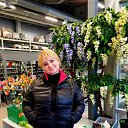 ���� ������, �����-��������� - ��������� 6 ������ 2020 � ������ ���� ����������