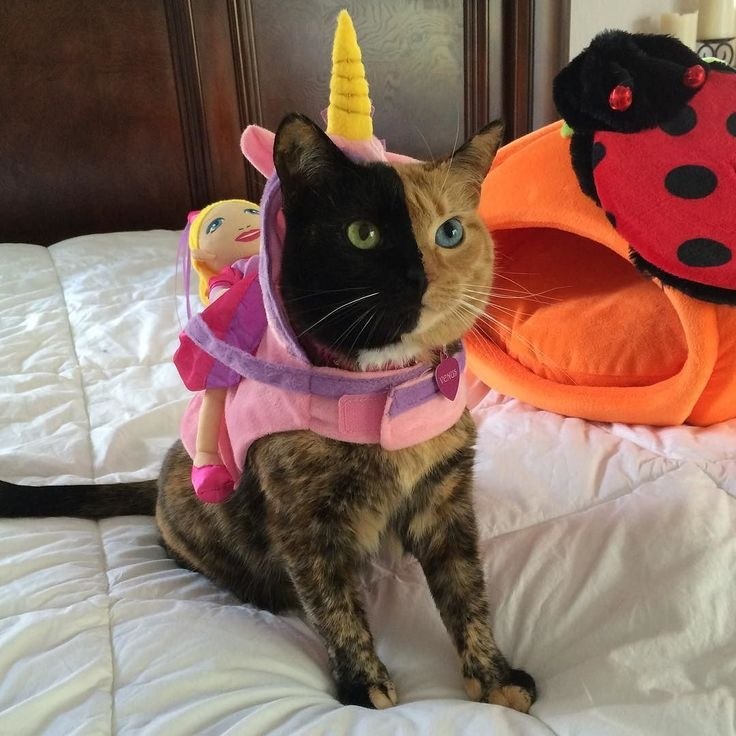 - ������, � ����� ����� ����� ? - 4