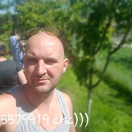 , 37, 