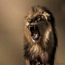 ���� Roman, ��������, 40 ��� - ��������� 21 ������� 2020 � ������ ���� ����������