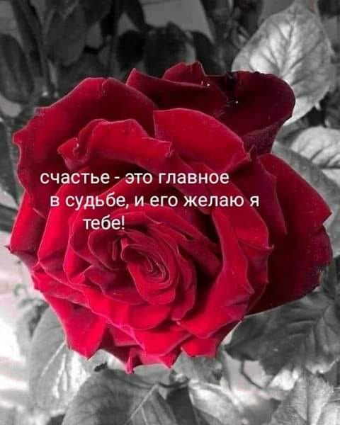 ПРИВЕТСТВИЯ и ПОЖЕЛАНИЯ, открытки на каждый день. - 11 мая 2020 в 16:27