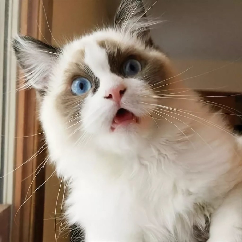      ?      .