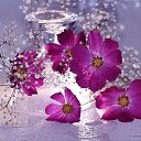 ���� Lara, ������� - ��������� 12 ������� 2020 � ������ �������