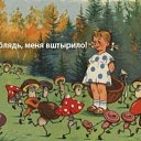 ���� ���������, ������, 48 ��� - ��������� 13 ��� 2020 � ������ ���� �����