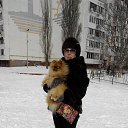 ���� �����, ����� - ��������� 9 ������� 2020 � ������ ���� ����������