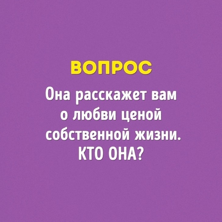  ,  ,   ,     - 4