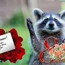 ���� ���������, �����, 35 ��� - ��������� 8 ����� 2020 � ������ ������ ��������