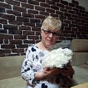 ���� ���������, �������, 72 ���� - ��������� 23 ����� 2020 � ������ ���� ����������