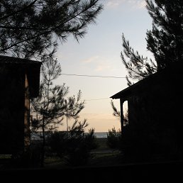 Kim, �����-���������