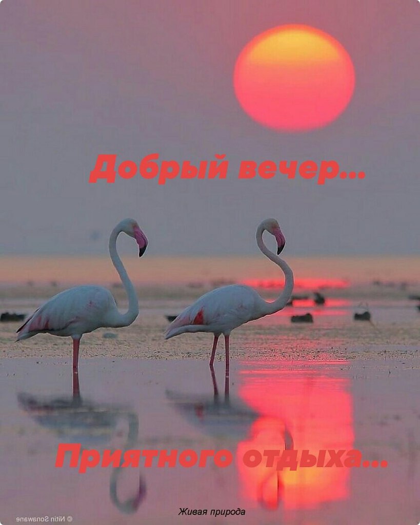   ,    . - 30  2020  18:48 - 2