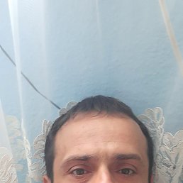 , , 48 