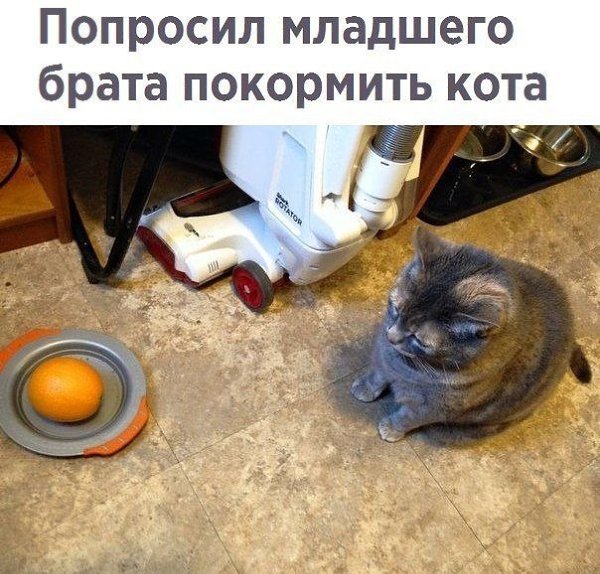 ������� - 25 ������� 2020 � 18:52