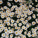 ���� Khrystyna, ����, 42 ���� - ��������� 16 ���� 2020 � ������ ���� ����������