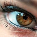 ���� Svet, ��������, 56 ��� - ��������� 14 ��� 2020 � ������ ���� ����������