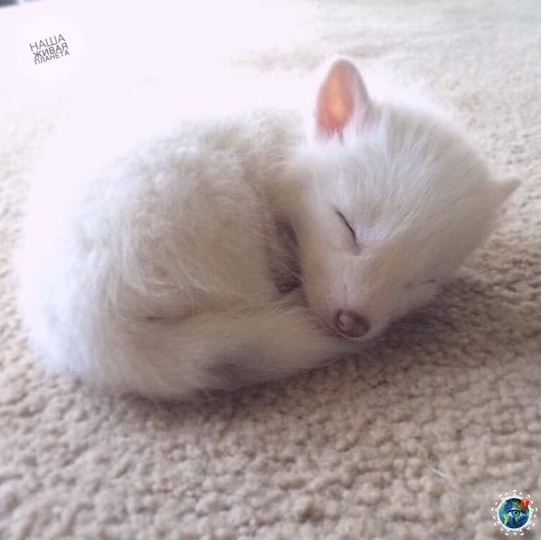 aoc! o Rylai - oo  aa . opc  opc c ...