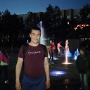 ���� ��������, �������������-����������, 43 ���� - ��������� 9 ���� 2020